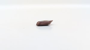 Scale