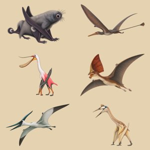 pterosauria