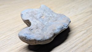 Possible dinosaur footprint cast.