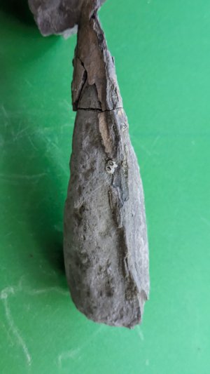 Lateral view of the fragment.