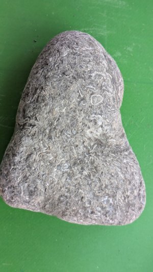 Unknown, another view.