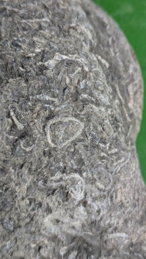Unknown, detail.
