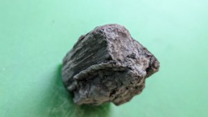 Fossilized wood - Cross-section