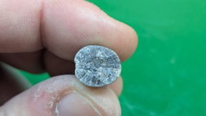 Apex of a belemnite - Cross-section with radial fibrous structure
