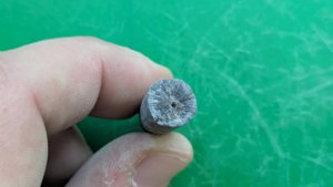 Apex of a belemnite - Cross-section with radial fibrous structure. The apical cavity is also visible