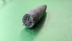 Apex of a belemnite - Cross-section with radial fibrous structure. The apical cavity is also visible