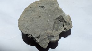 Another view of the slab
