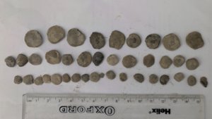 Various nummulites - ~1-0.5cm
