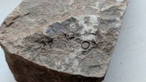 Round impression with radial rim - detail
